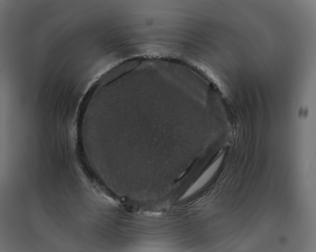 X0000094430488200711211436