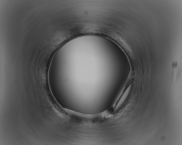 X0000094430489200711211436