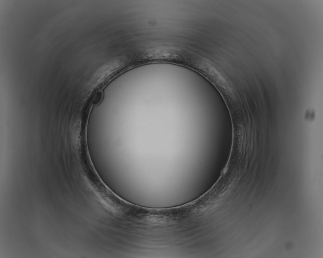 X0000094430490200711211436