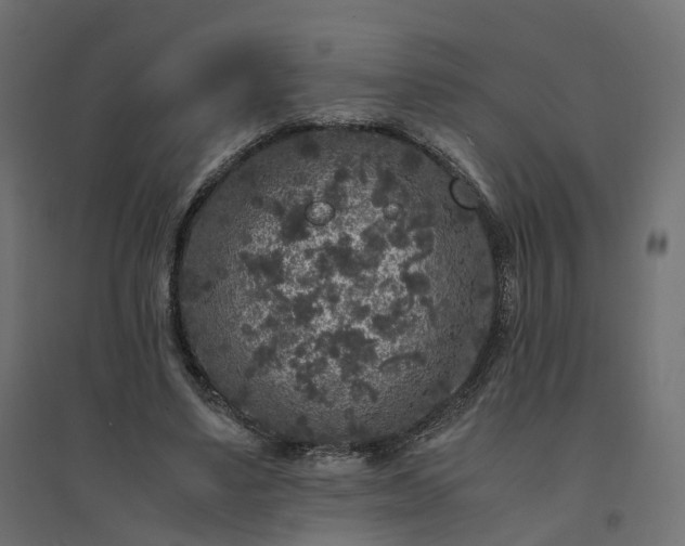 X0000094430491200711211436