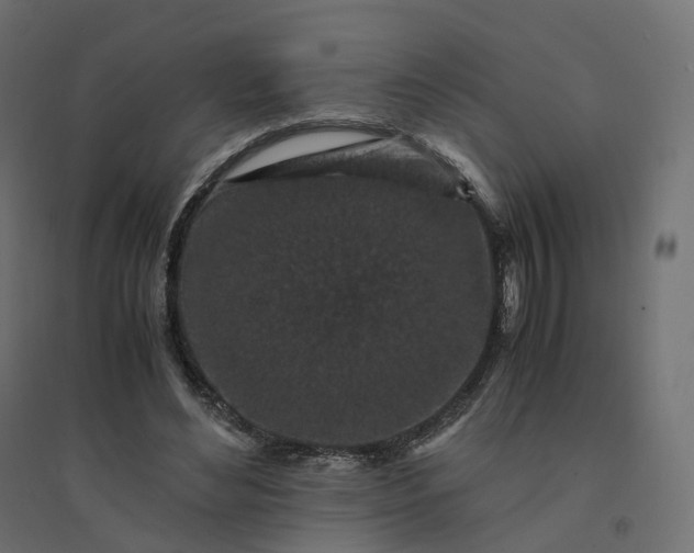 X0000094430492200711211436