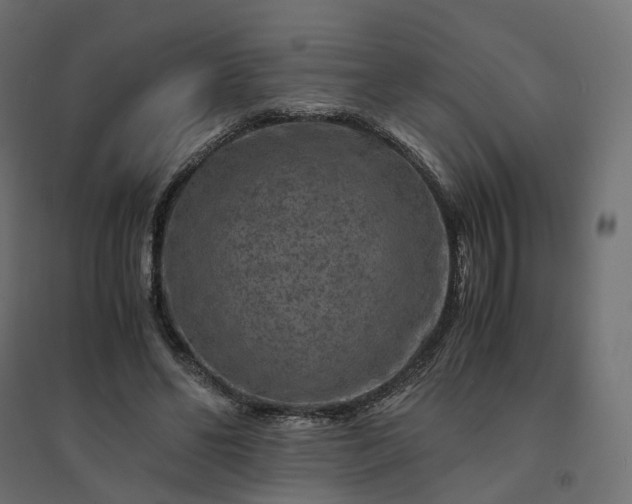 X0000094430494200711211436
