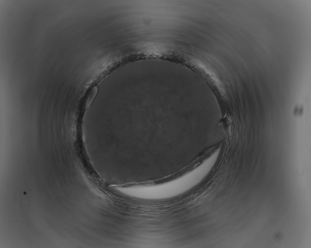 X0000094430496200711211436