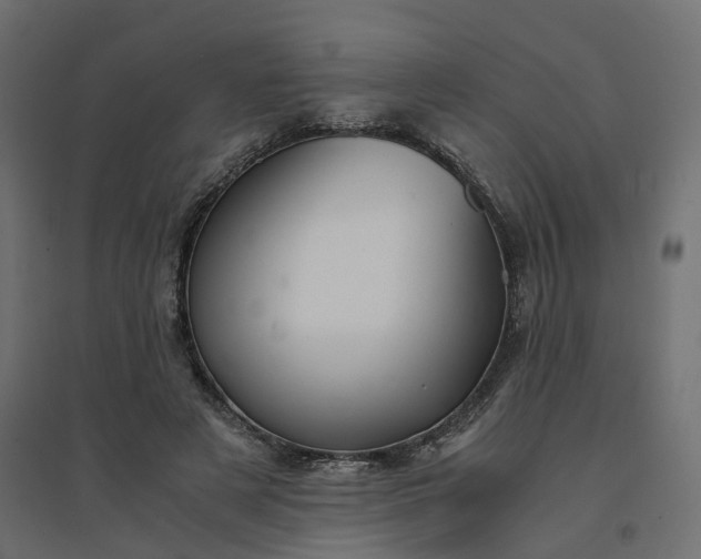 X0000094430497200711211436