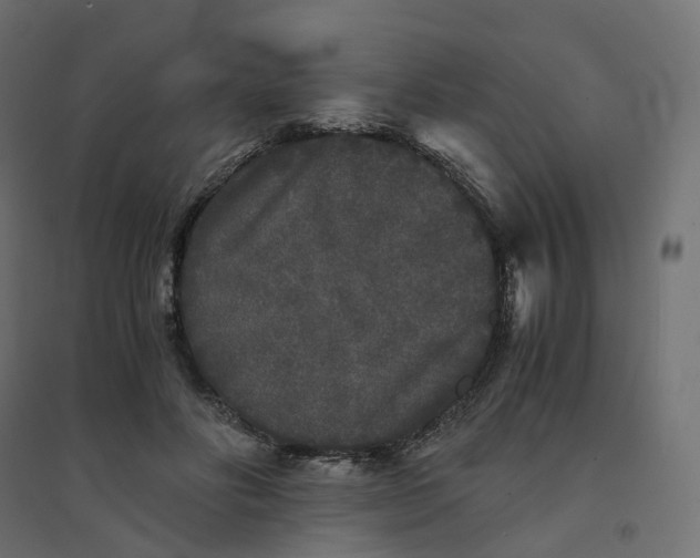 X0000094430502200711211436