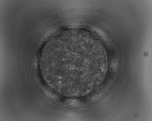 X0000094430503200711211436