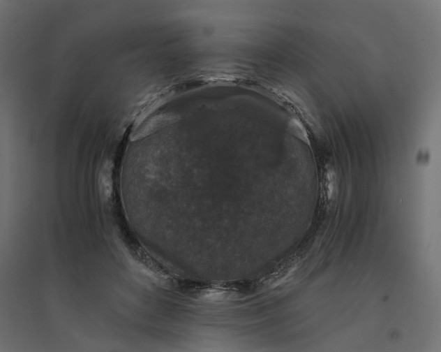X0000094430504200711211436