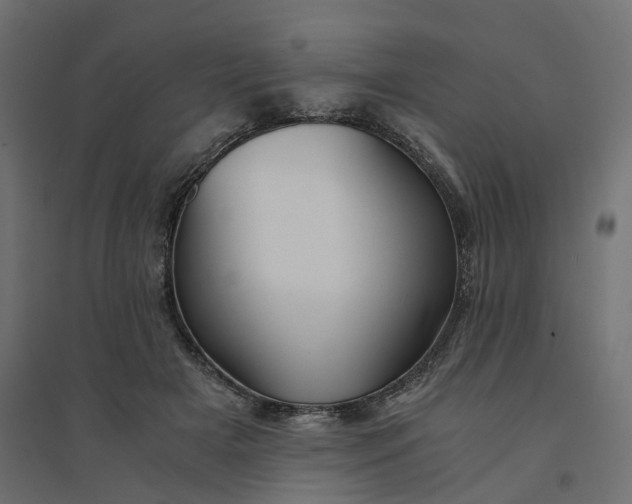 X0000094430505200711211436
