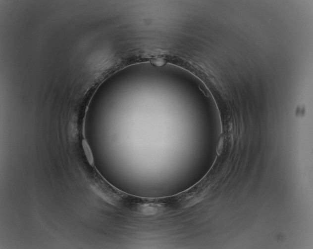 X0000094430508200711211436
