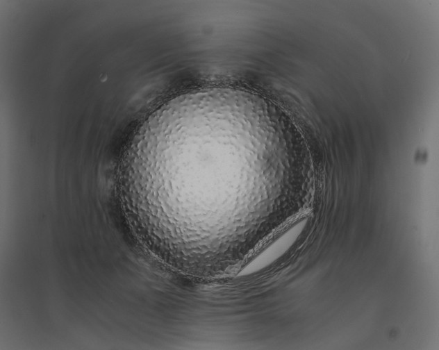 X0000094430511200711211436