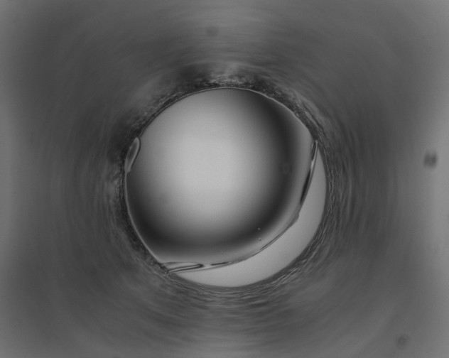 X0000094430513200711211436