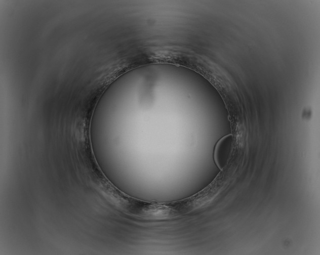 X0000094430514200711211436