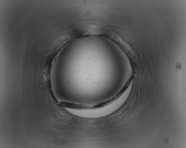 X0000094430517200711211436