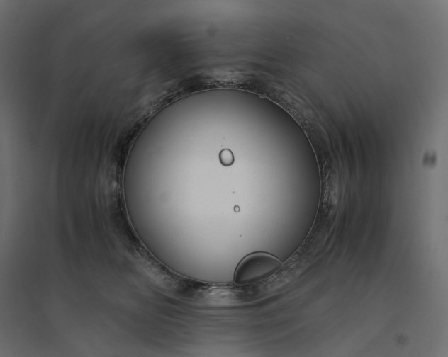 X0000094430518200711211436