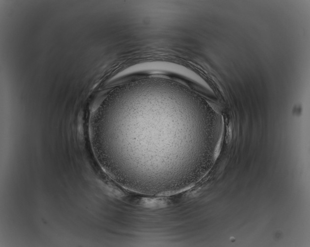 X0000094430520200711211436