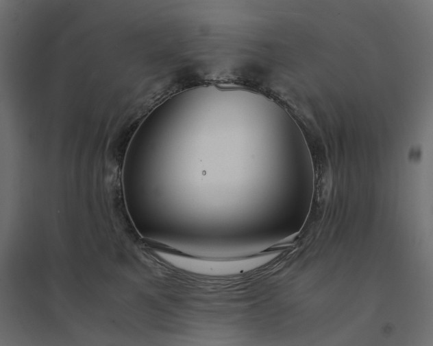 X0000094430521200711211436