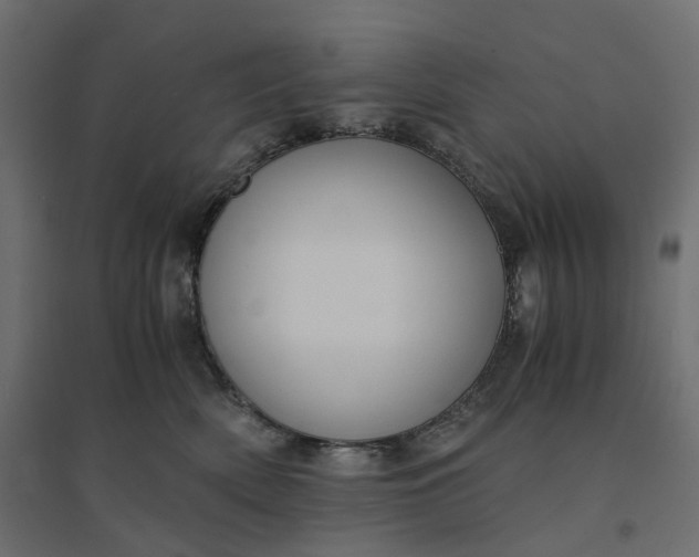 X0000094430522200711211436
