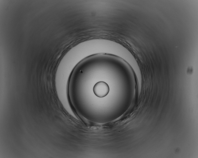 X0000094430524200711211436