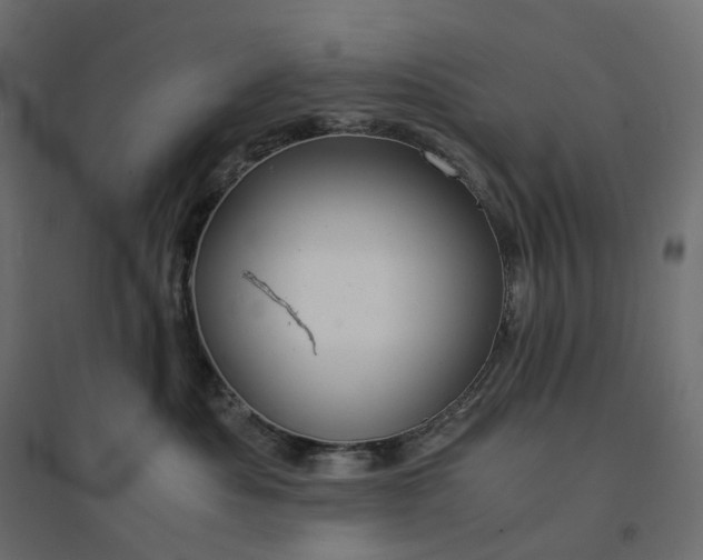 X0000094430525200711211436