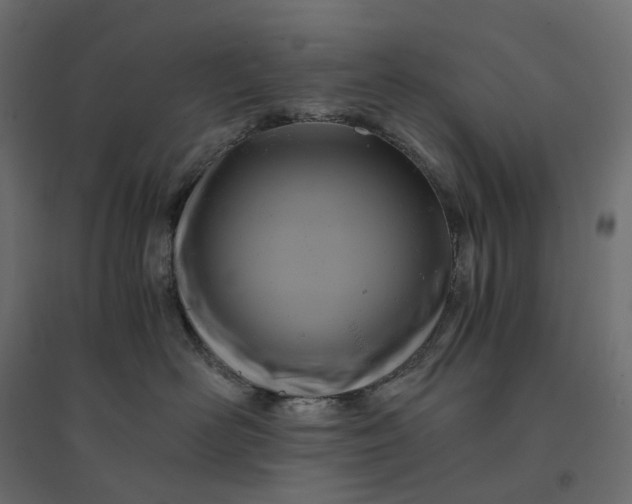 X0000094430526200711211436