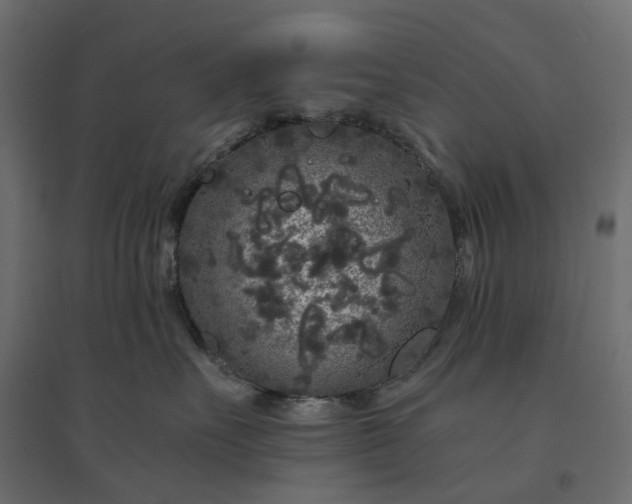 X0000094430527200711211436
