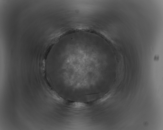 X0000094430528200711211436