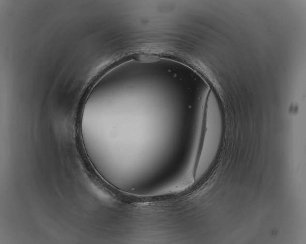 X0000094430530200711211435