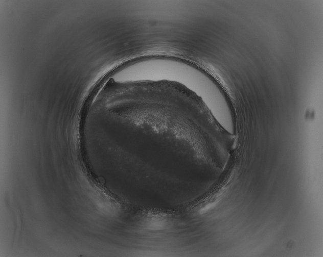 X0000094430531200711211435