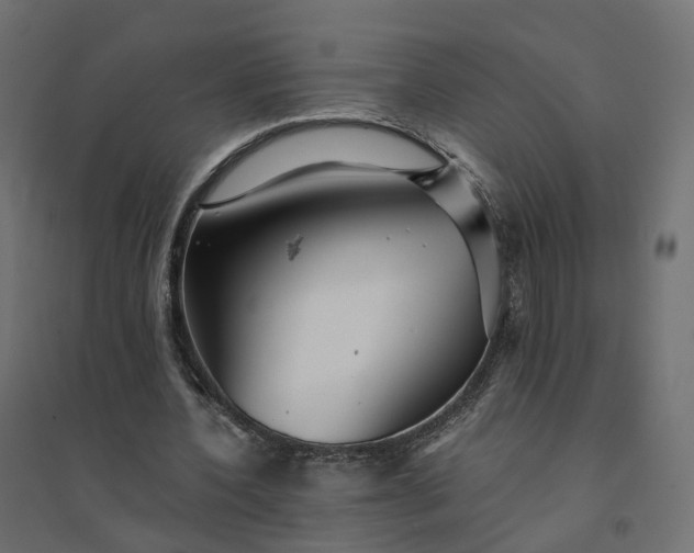 X0000094430532200711211435