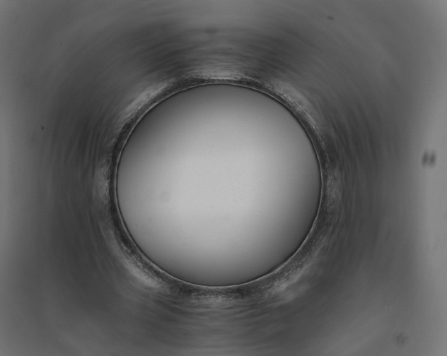 X0000094430533200711211435