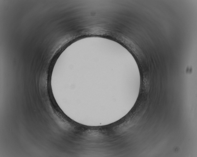 X0000094430534200711211435