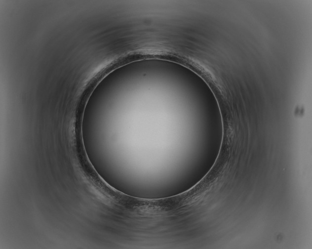 X0000094430535200711211435