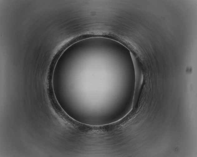 X0000094430536200711211435