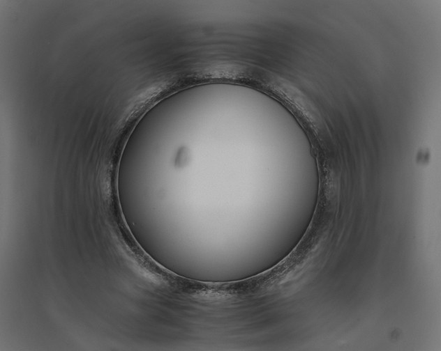 X0000094430537200711211435