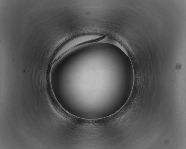 X0000094430538200711211435