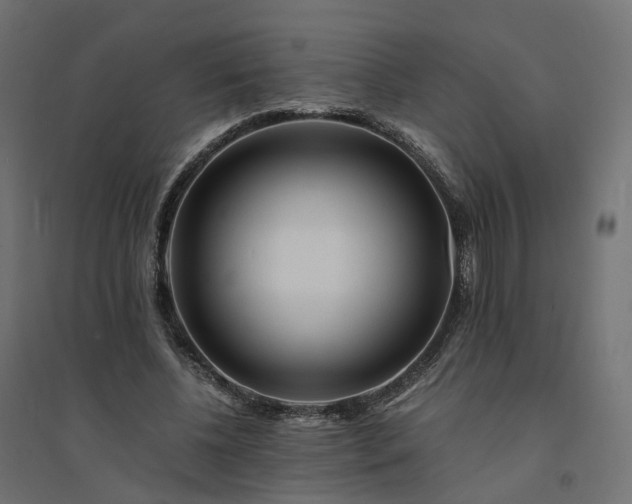 X0000094430540200711211435