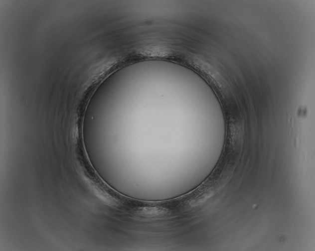 X0000094430541200711211435