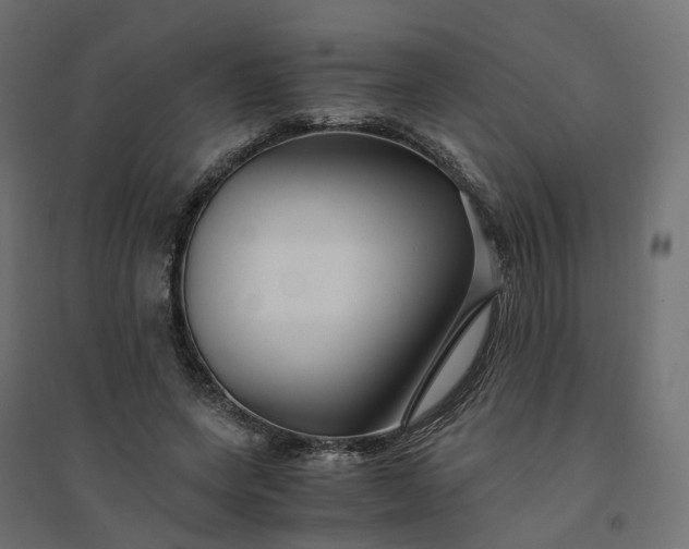 X0000094430543200711211435