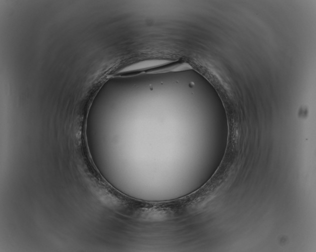 X0000094430545200711211435
