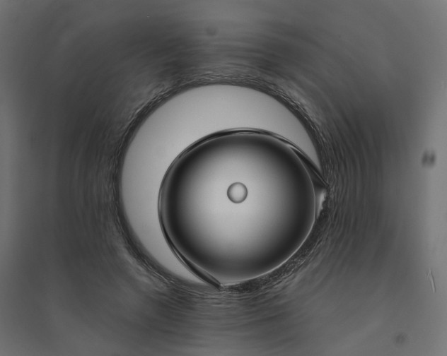 X0000094430546200711211435