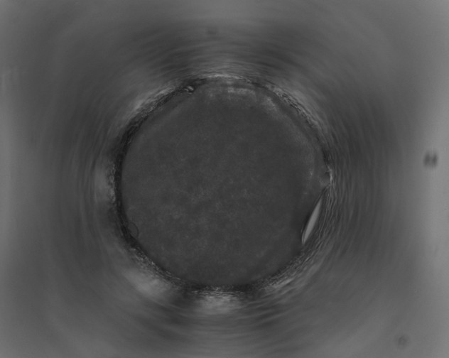X0000094430547200711211435
