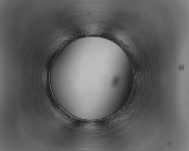 X0000094430550200711211435