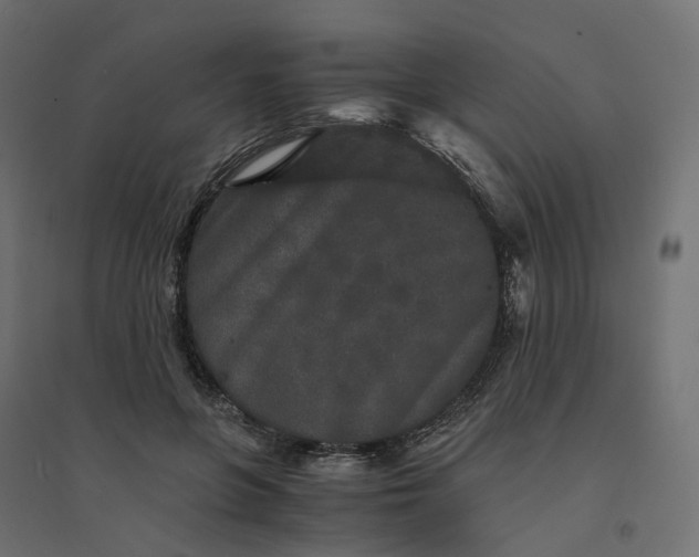 X0000094430551200711211435