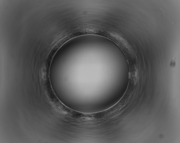 X0000094430552200711211435
