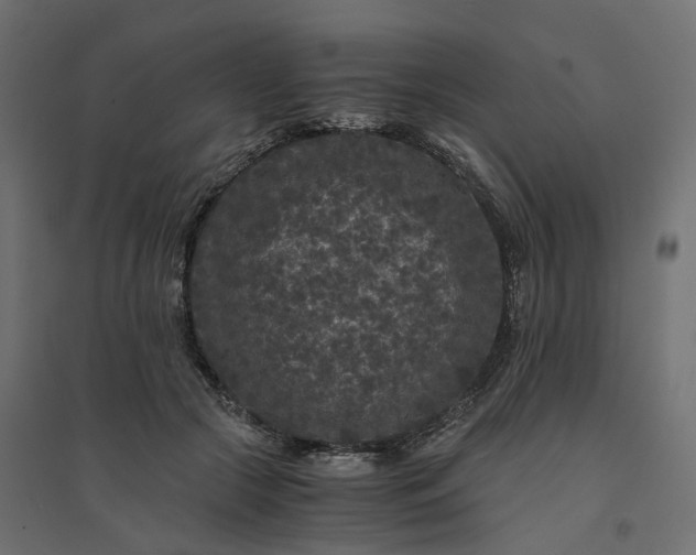 X0000094430553200711211435