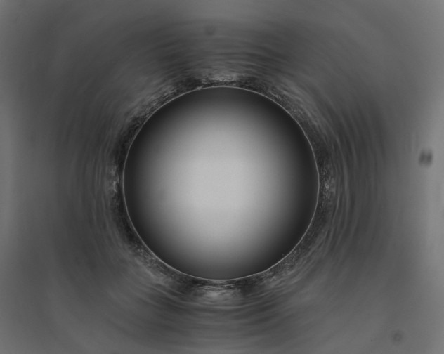 X0000094430555200711211435