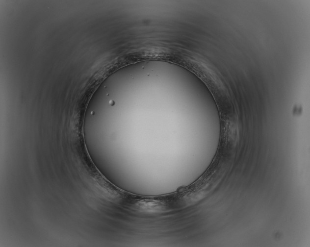 X0000094430557200711211435