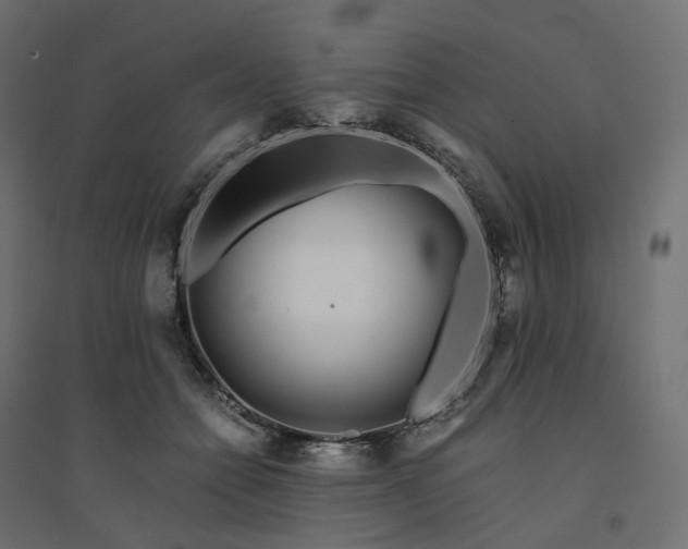 X0000094430558200711211435