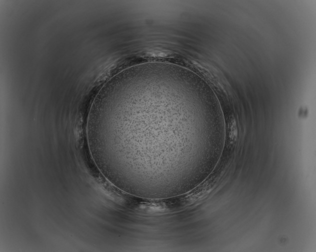 X0000094430559200711211435