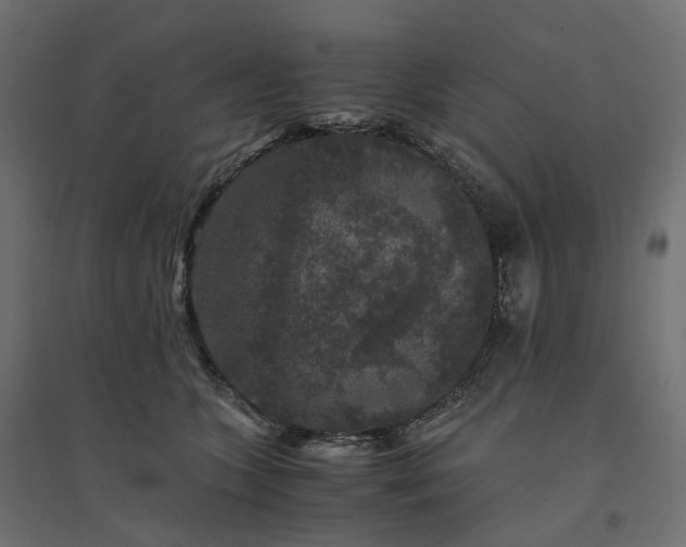 X0000094430563200711211435